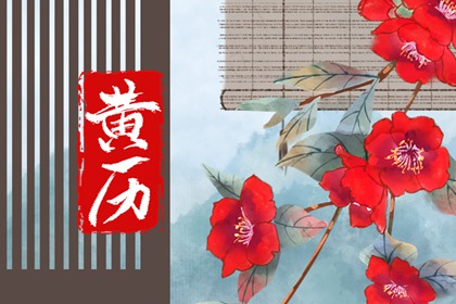 今日九星怎么读